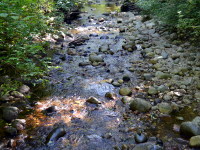 brook, creek